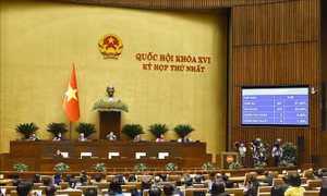Thông qua Nghị quyết về phát triển văn hóa và thành lập thành phố Đồng Nai trực thuộc Trung ương