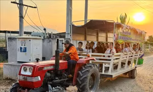 Lâm Đồng phát triển nhiều tour du lịch bằng đường bộ