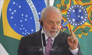 Tổng thống Brazil hủy kế hoạch dự các hội nghị COP16 và COP29