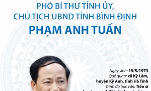 Phó Bí thư Tỉnh ủy, Chủ tịch UBND tỉnh Bình Định Phạm Anh Tuấn
