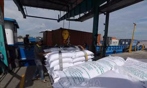 Cơ hội nào để xuất khẩu gạo chạm mốc 7 triệu tấn năm 2023?