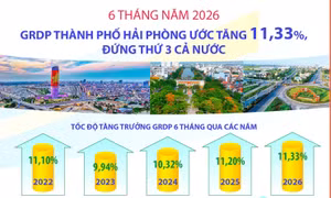 6 tháng năm 2026, GRDP thành phố Hải Phòng ước tăng 11,33%, đứng thứ 3 cả nước