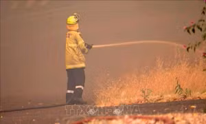 'Giặc lửa' thiêu rụi 74.000 ha rừng tại Australia
