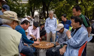 Để không lãng phí nguồn lực 60+