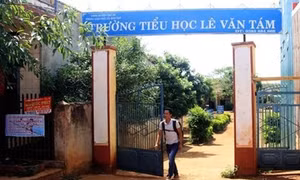 Tham ô tài sản, kế toán trường học bị phạt 8 năm tù 