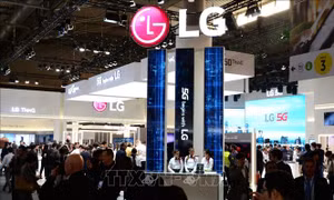 LG giảm 1/2 lượng phát thải khí carbon vào năm 2030