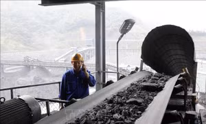 Nhu cầu than trong nước tiếp tục tăng cao trong quý IV và năm 2023