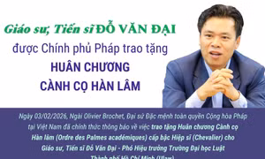 Giáo sư, Tiến sĩ Đỗ Văn Đại được Chính phủ Pháp trao tặng Huân chương Cành cọ Hàn lâm