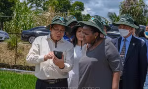 Chủ tịch Quốc hội Mozambique thăm Viện Lúa đồng bằng sông Cửu Long