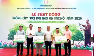 Phát triển mảng xanh vì cộng đồng bền vững