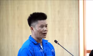 Tuyên án tử hình đối tượng cố ý xâm hại tính mạng của mẹ và chị ruột
