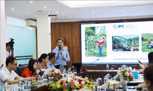 Công bố xuất khẩu thí điểm chanh leo chính ngạch sang Trung Quốc