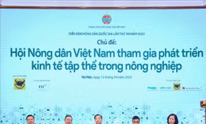 Nâng cao trình độ, năng lực các chủ thể tham gia kinh tế tập thể, hợp tác xã