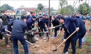 Phát động Tết trồng cây Đời đời nhớ ơn Bác Hồ năm Quý Mão 2023
