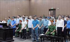 Vụ Tập đoàn Thuận An: Phân hóa trách nhiệm từng bị cáo để có mức án đề nghị phù hợp