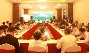 'Trồng một tỷ cây xanh' trên hành trình 'về đích'