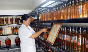 Thành tựu 75 năm phát triển kinh tế: Thời cuộc mới cho kinh tế tư nhân 