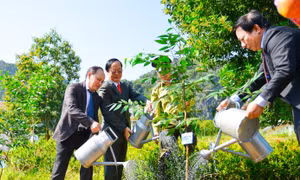 Lần đầu tiên tổ chức kỷ niệm Ngày Quốc tế về Khu dự trữ sinh quyển tại Việt Nam