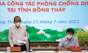 Phó Thủ tướng Trương Hòa Bình: Đồng Tháp phải triển khai ngay gói an sinh xã hội