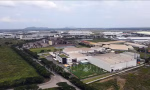 Giải thể Ban Chỉ đạo về phát triển khu kinh tế, khu công nghiệp