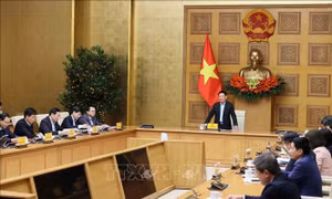 Điều hành giá năm 2025 'thật tốt, thật chủ động, thật cụ thể và thật hiệu quả'