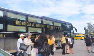 Nghệ An yêu cầu doanh nghiệp khẩn trương giảm giá cước vận tải hành khách
