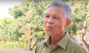 Người cựu chiến binh tâm huyết bảo tồn giống nhãn quý