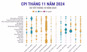 Chỉ số CPI chung cả nước tháng 11/2024 tăng 0,13%