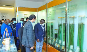 Tổng thống nước Cộng hòa Sierra Leone thăm Viện Khoa học Nông nghiệp Việt Nam
