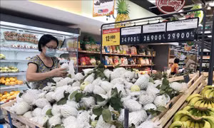 Thành lập Tổ công tác chỉ đạo sản xuất, kết nối tiêu thụ nông sản khu vực phía Bắc