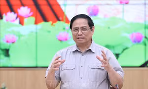 Cần Thơ phải phát huy vai trò trung tâm, động lực phát triển của vùng ĐBSCL