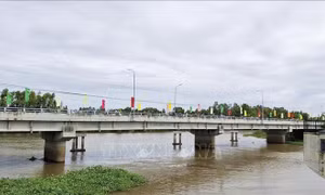 Chủ động 'giữ ngọt, ngăn mặn' cho vụ lúa Hè Thu