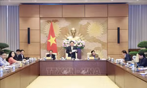 Chủ tịch Quốc hội chủ trì cuộc làm việc về tiến độ triển khai dự án Luật Đất đai (sửa đổi)