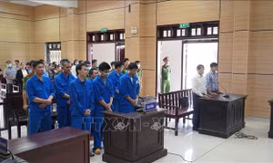 Bảy đối tượng buôn lậu đường cát và gỗ quy mô lớn lĩnh án 55 năm tù