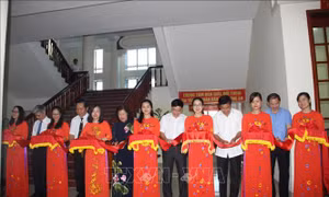 Khai trương 6 Trung tâm hòa giải, đối thoại, giải quyết tranh chấp dân sự