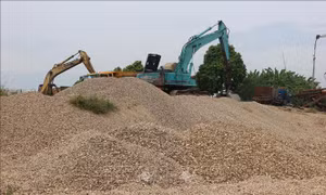Phản hồi thông tin của TTXVN về buông lỏng quản lý đất đai tại Long Biên, Hà Nội