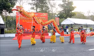 Độc đáo Giải Vô địch Lân Sư Rồng mở rộng ở Cần Thơ
