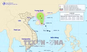 Đã xác định được khu vực nguy hiểm, các địa phương chủ động ứng phó áp thấp nhiệt đới