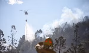 Argentina: Cháy lan rộng mất kiểm soát tại công viên quốc gia Los Alerces