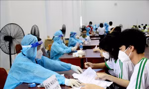 Bình Thuận chuẩn bị tiêm liều bổ sung vaccine phòng COVID-19 cho đối tượng ưu tiên