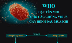 WHO đặt tên mới cho các chủng virus gây bệnh đậu mùa khỉ