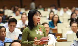 Ngân hàng Nhà nước vẫn tiếp tục điều hành tăng trưởng tín dụng