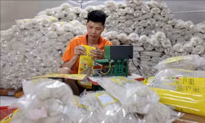 Nghị quyết 57-NQ/TW: Cơ hội tiếp cận khách hàng mới cho hợp tác xã