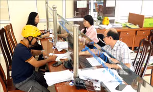Kế hoạch triển khai thi hành Luật Bảo hiểm xã hội 