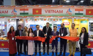Việt Nam thúc đẩy quảng bá nông sản và thực phẩm chế biến tại Ấn Độ