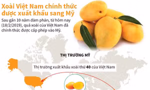 Xoài Việt Nam chính thức xuất khẩu sang Mỹ sau 10 năm đàm phán