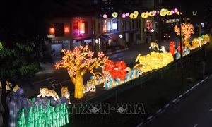 Singapore trang hoàng đường phố chào đón Tết nguyên đán Nhâm Dần
