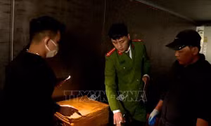 Phát hiện hơn 1 tấn thực phẩm đông lạnh không rõ nguồn gốc
