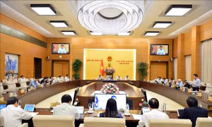 Ban hành các Nghị quyết về nhân sự, điều chỉnh kế hoạch đầu tư trung hạn 