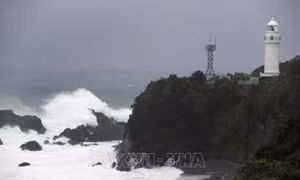 Vụ chìm tàu Panama trên vịnh Tokyo: Đã tìm thấy thi thể thủy thủ Nguyễn Văn Trì